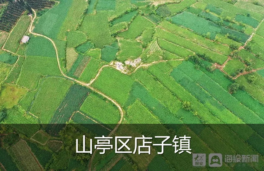 山亭区店子镇